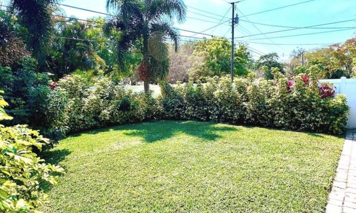 Photo of Outdoor in North East Park
