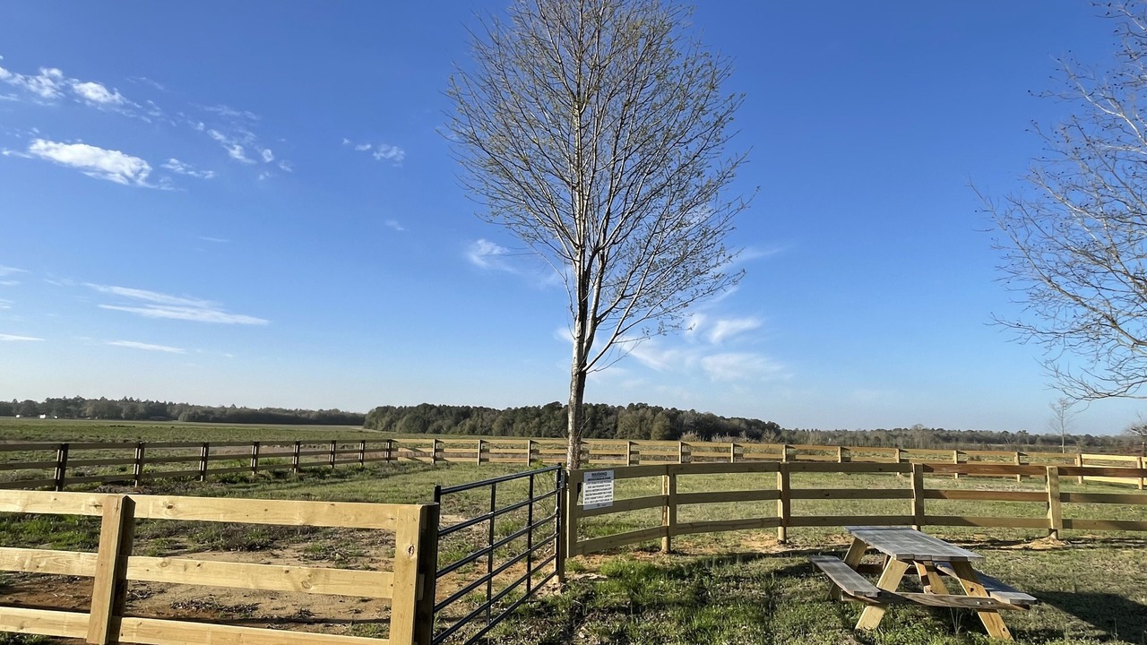 Photo of Outdoor in South Carolina Lakes & Blackwater Rivers