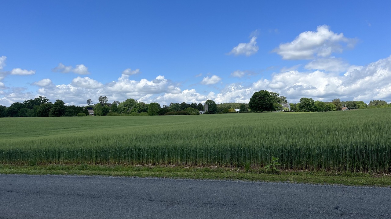 Photo of Outdoor in Norwood