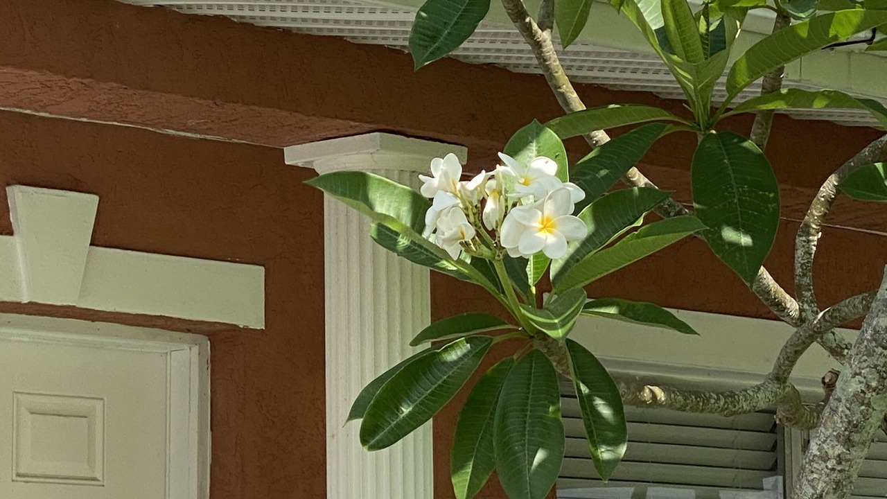 Photo of Outdoor in Rock Ridge