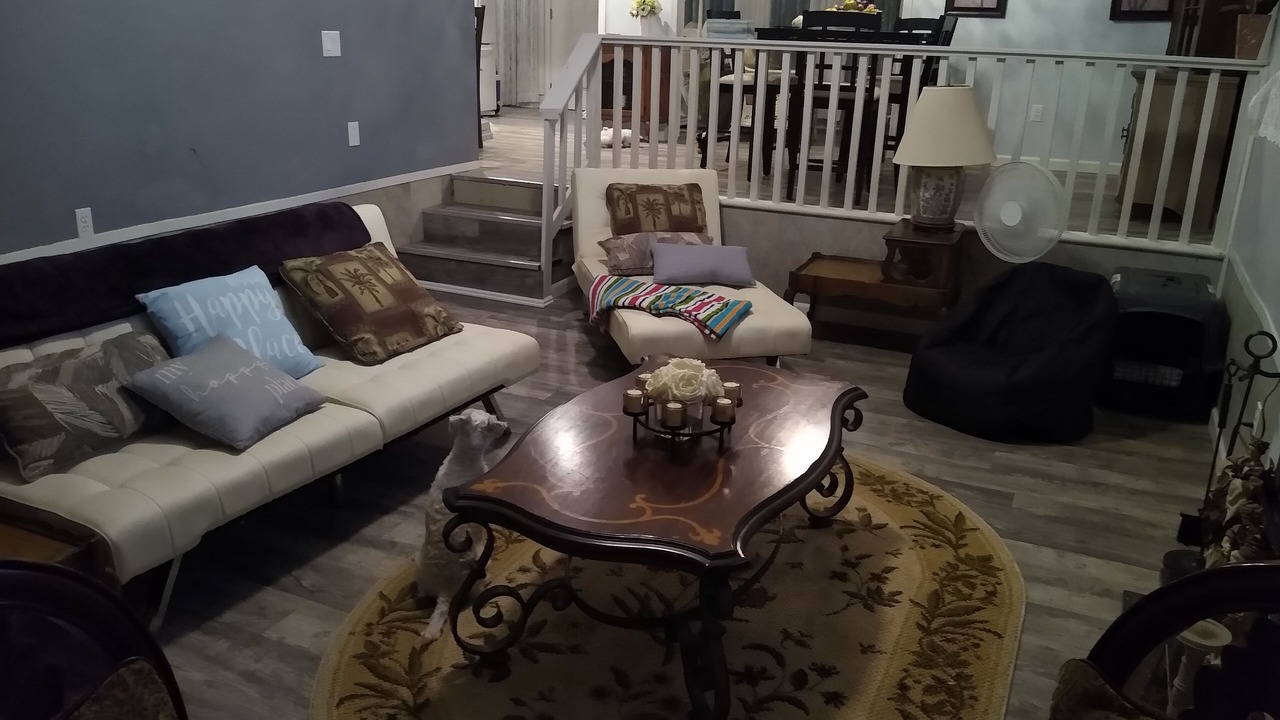 Photo of Livingroom in Socastee
