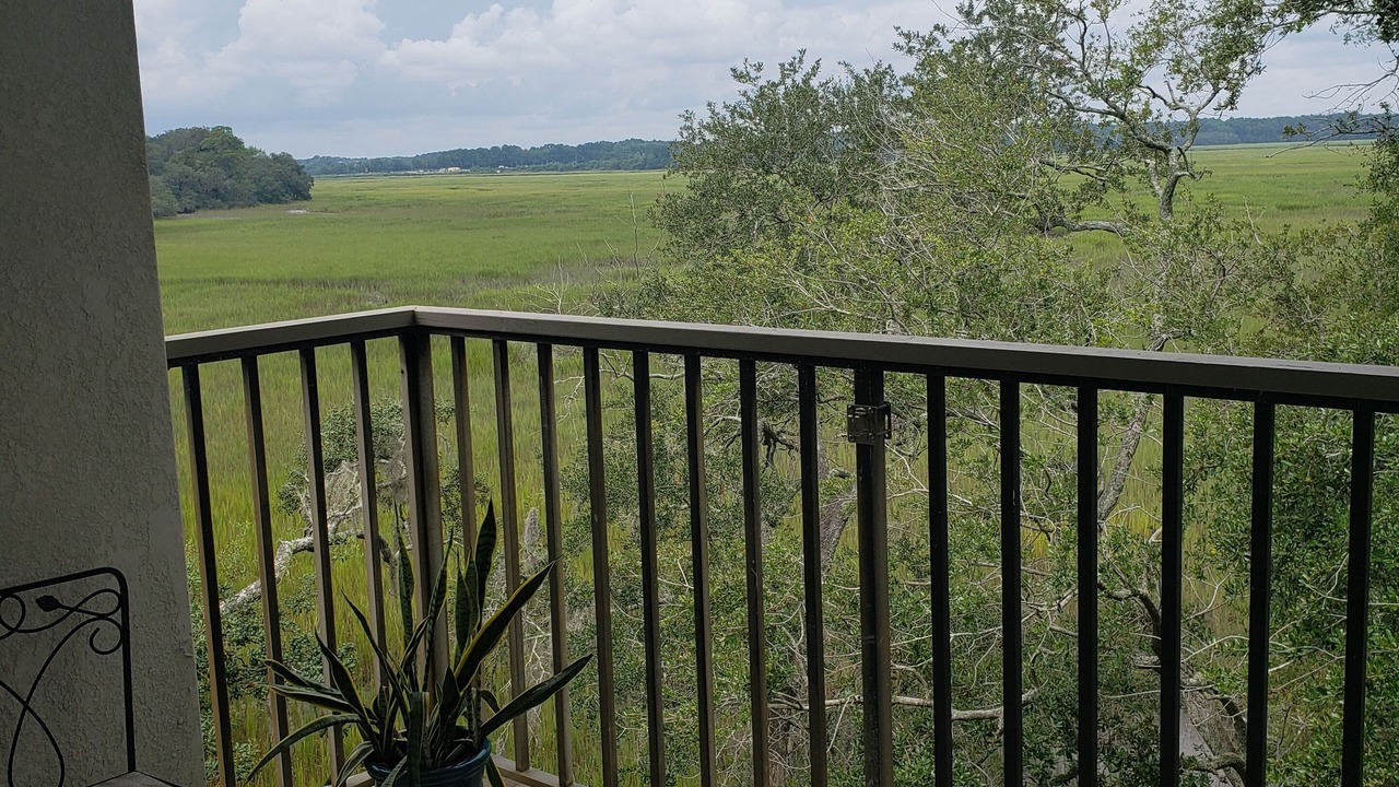 Photo of Outdoor in Beaufort