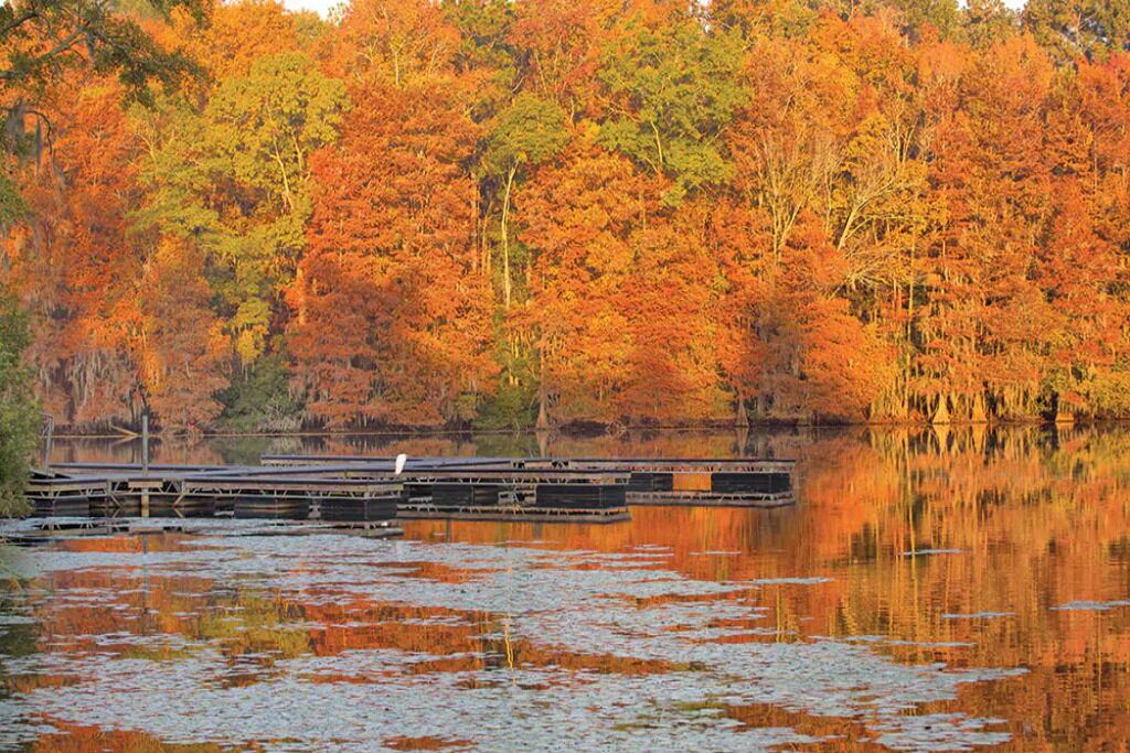 Photo of Others in Santee