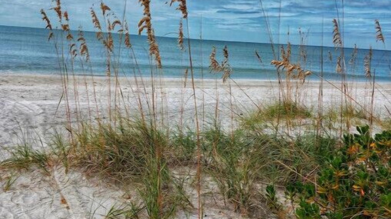 Photo of Others in Whitney Beach