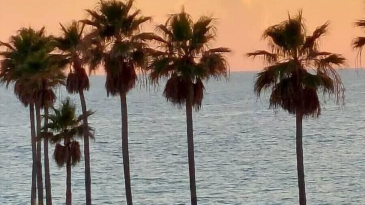 Photo of Others in Whitney Beach