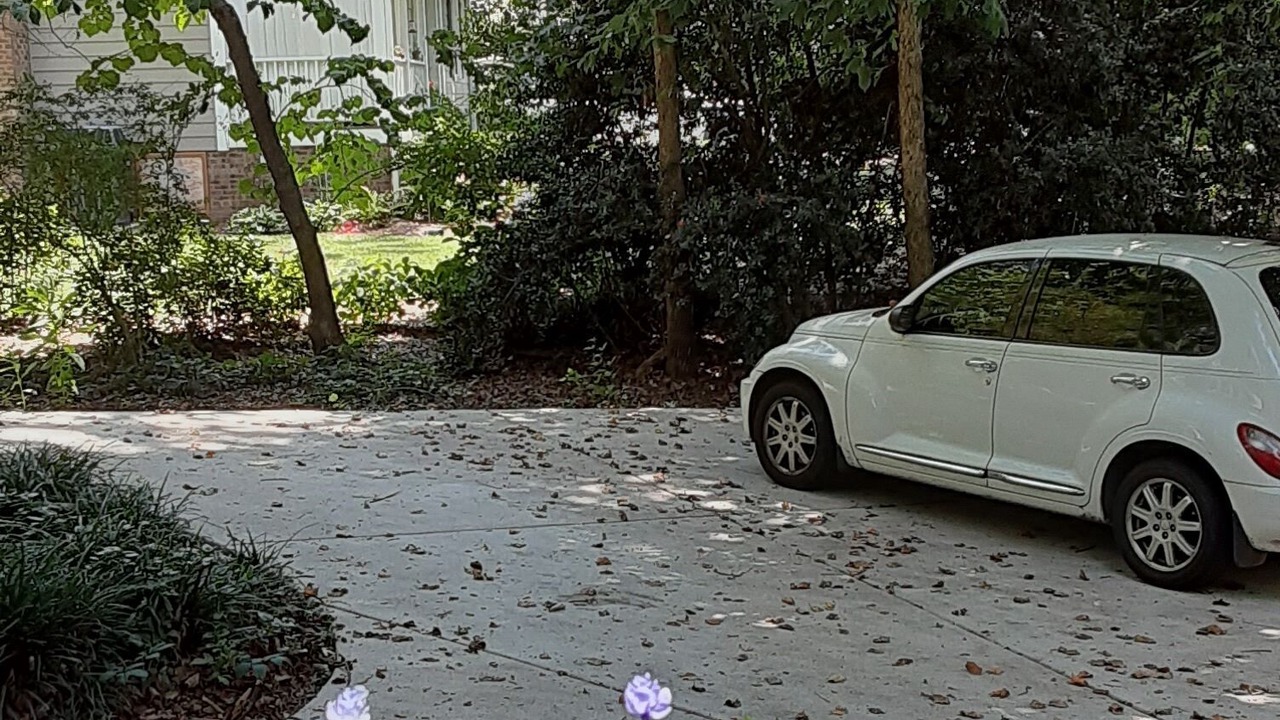 Photo of Outdoor in Mint Hill