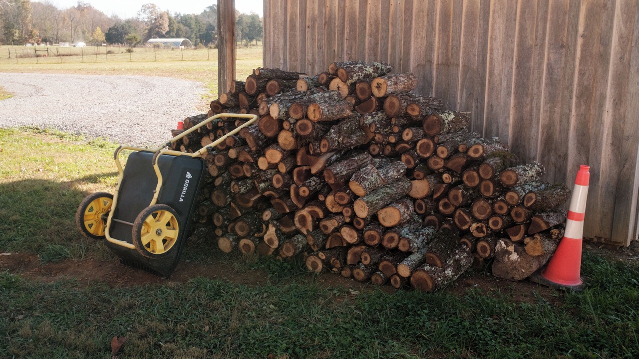 Photo of Outdoor in Smithville