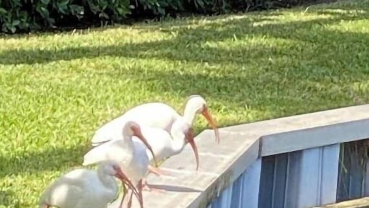 Photo of Others in Sebastian