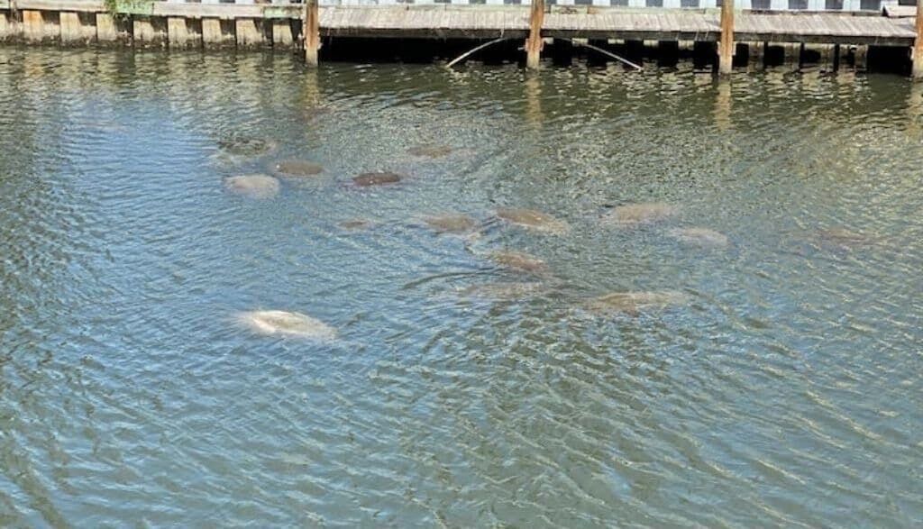 Photo of Others in Sebastian