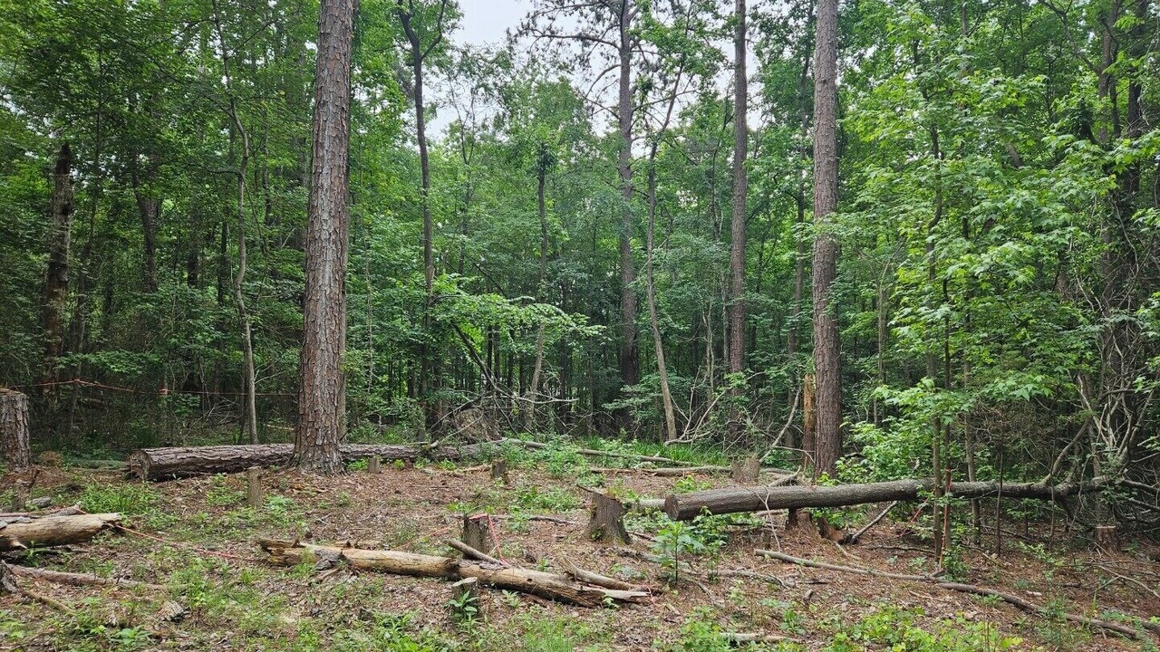 Photo of Outdoor in Appling