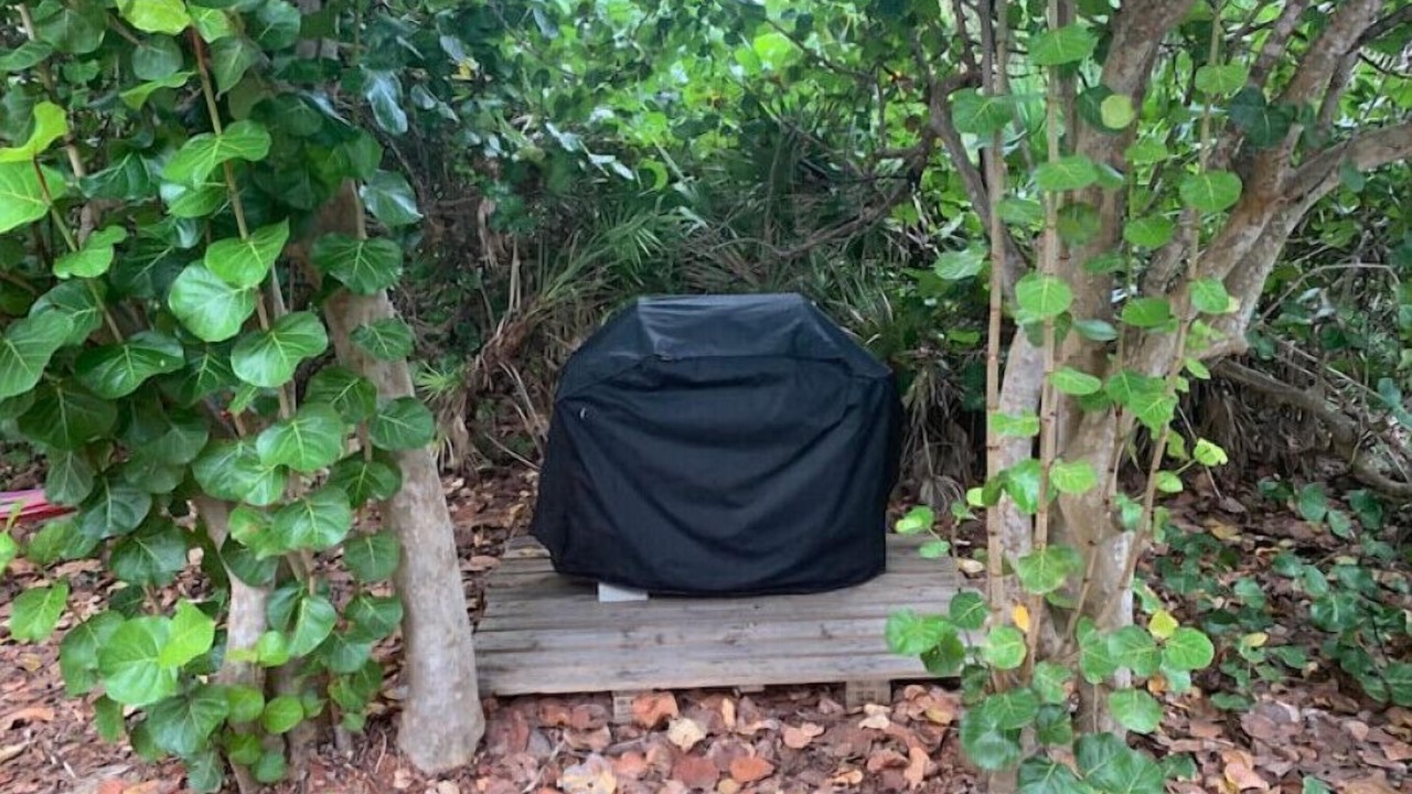Photo of Outdoor in Melbourne Beach