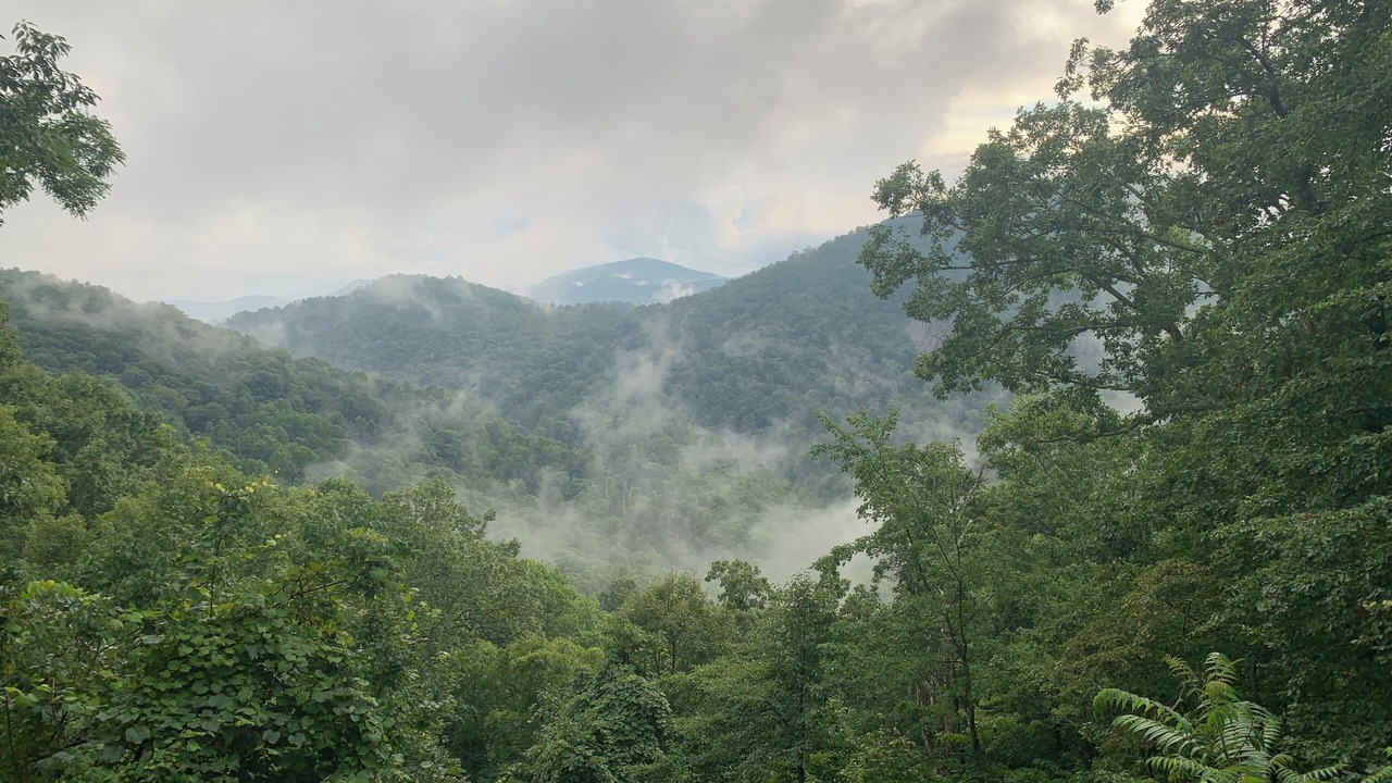 Photo of Others in Cullowhee