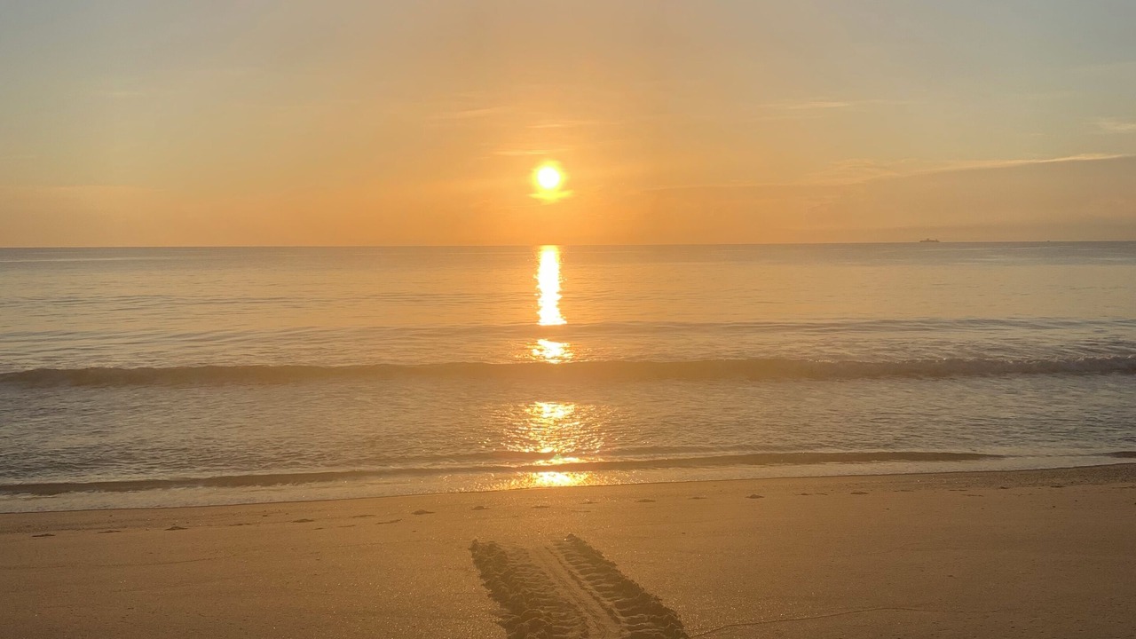 Photo of Others in Melbourne Beach
