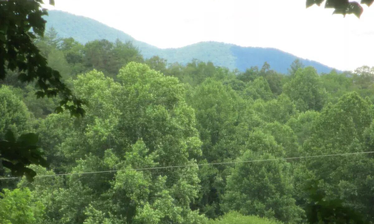 Photo of Outdoor in Robbinsville