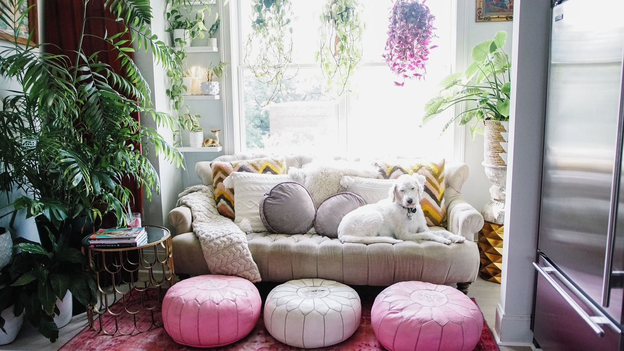 Photo of Livingroom in Charleston