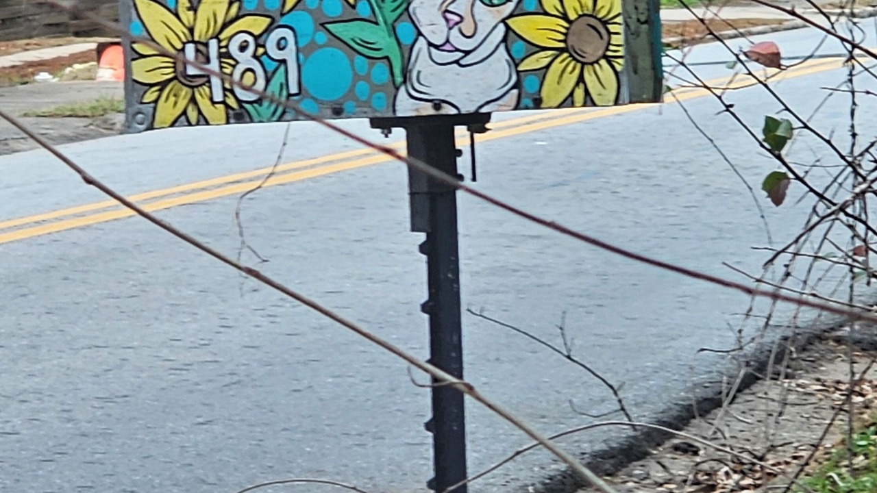 Photo of Others in Athens