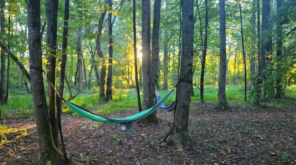 Photo of Outdoor in Seneca