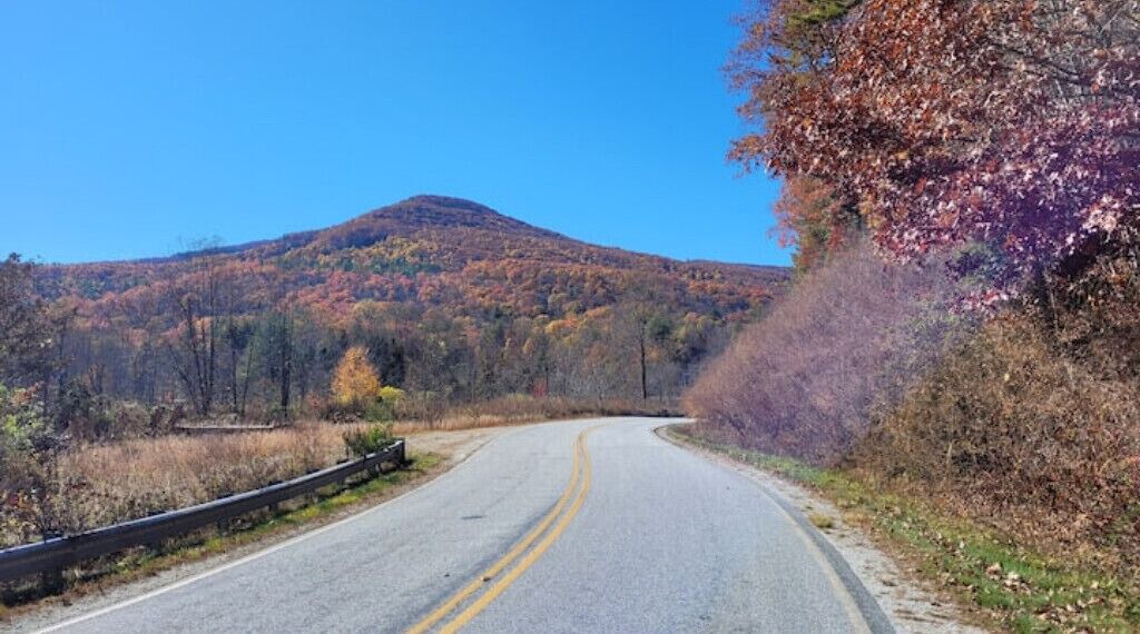 Photo of Others in Seneca