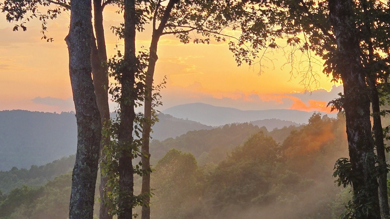 Photo of Others in Rosman