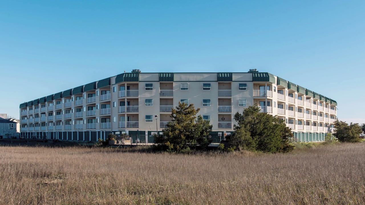 Photo of Outdoor in Edisto Island