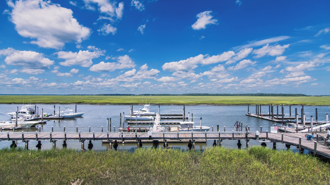 Photo of Others in Edisto Island