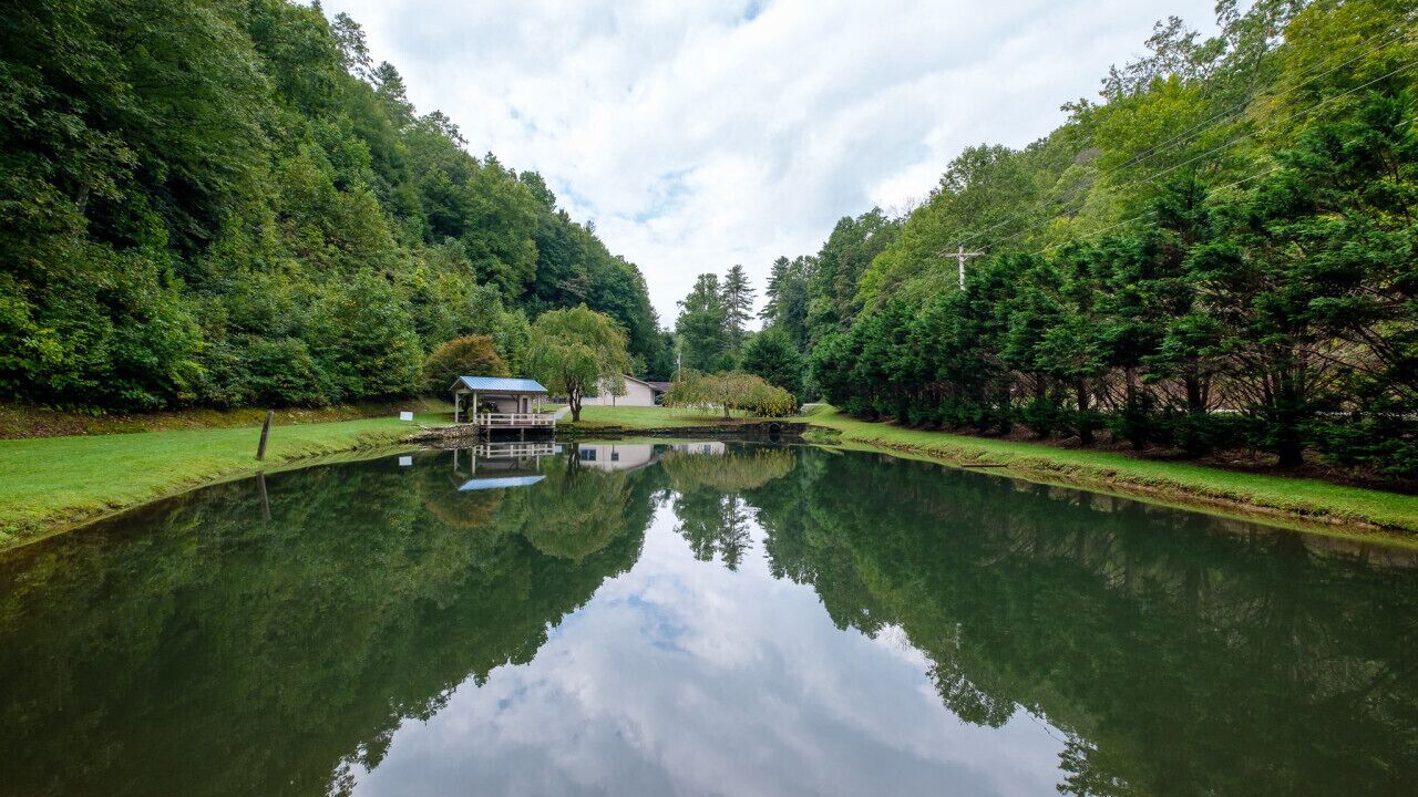 Photo of Outdoor in Brevard