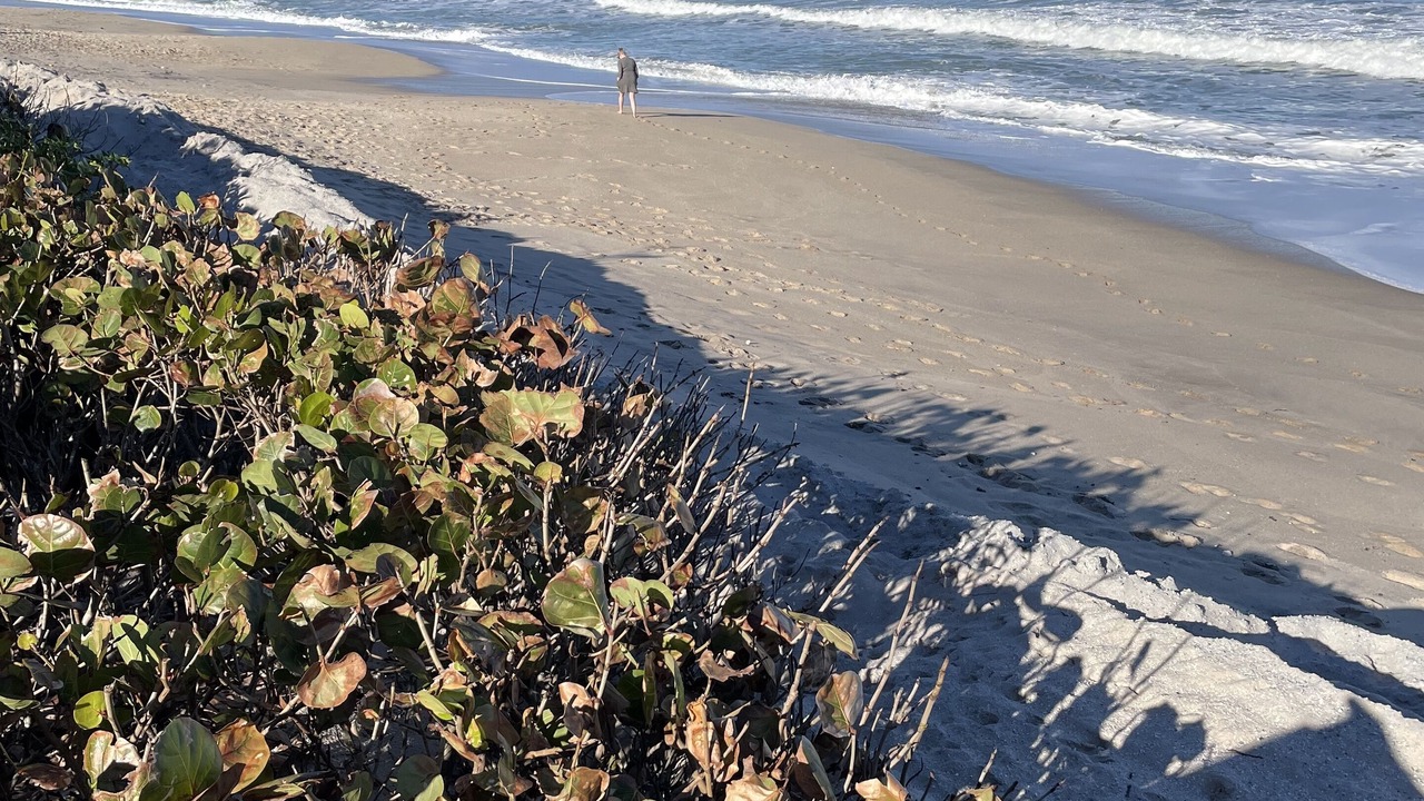Photo of Others in Indian River Oaks