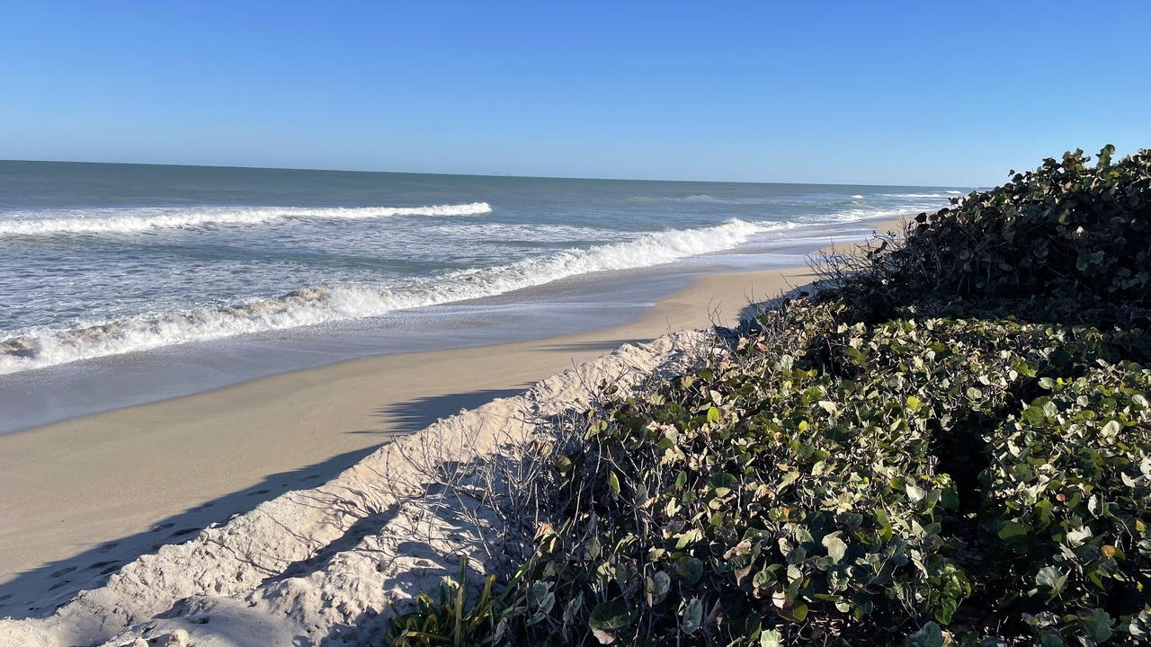 Photo of Others in Indian River Oaks