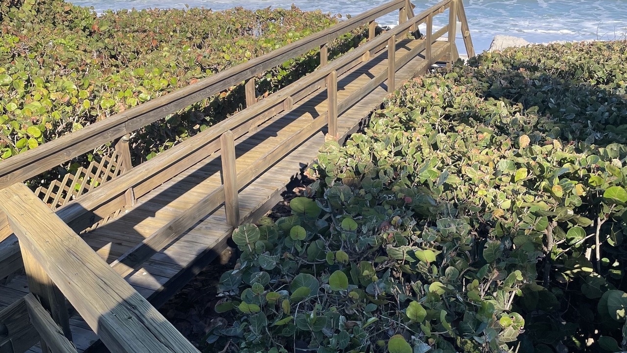 Photo of Others in Indian River Oaks