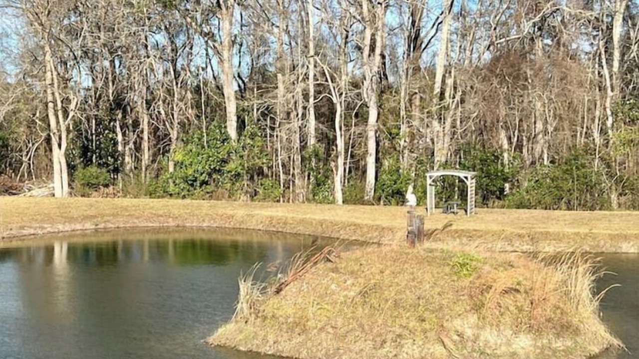 Photo of Outdoor in Glenwood