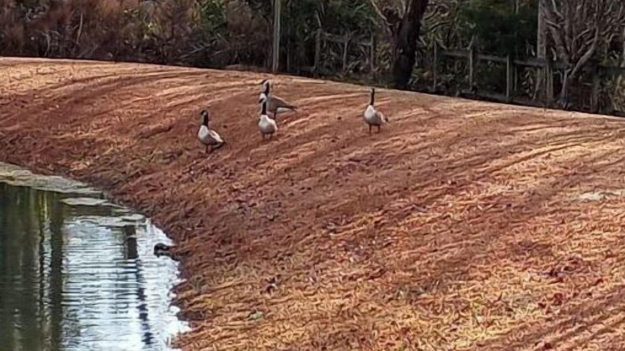 Photo of Outdoor in Glenwood