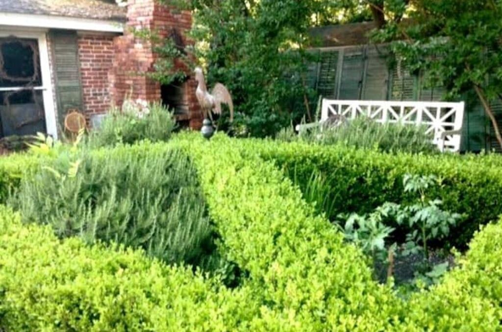 Photo of Outdoor in Newberry