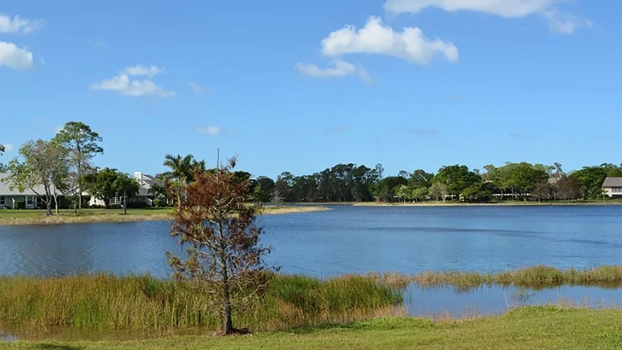 Photo of Outdoor in Kings Lake
