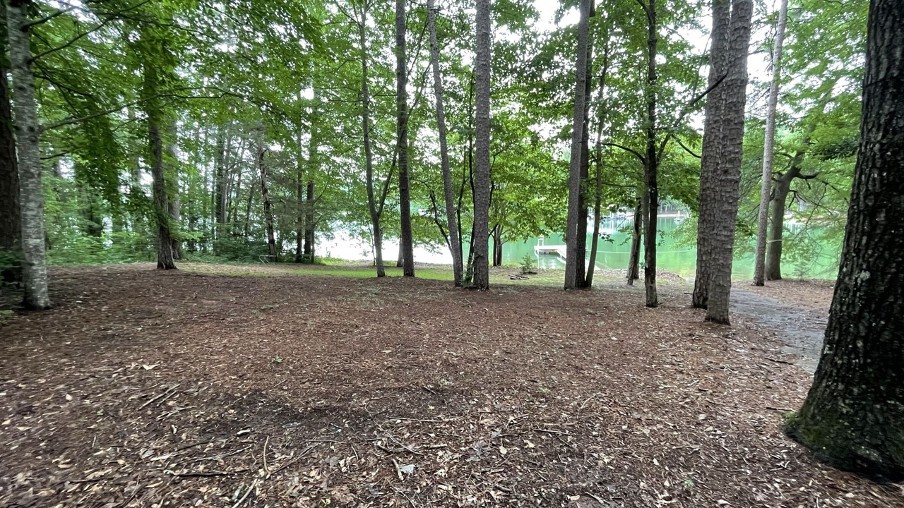 Photo of Others in Martin