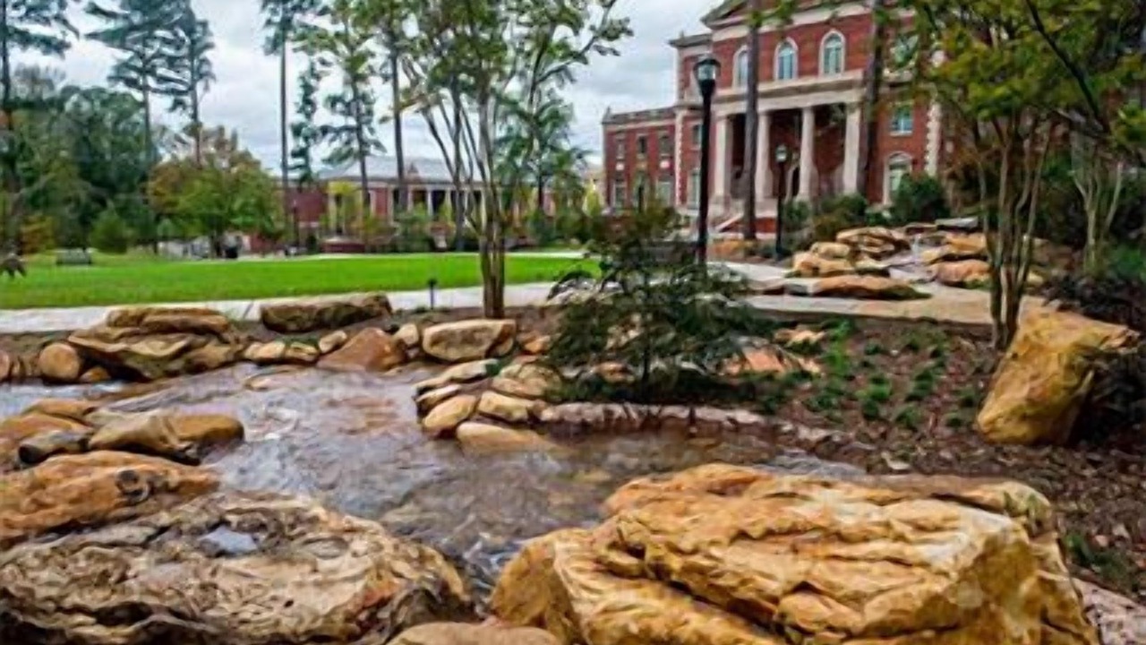 Photo of Others in Alpharetta