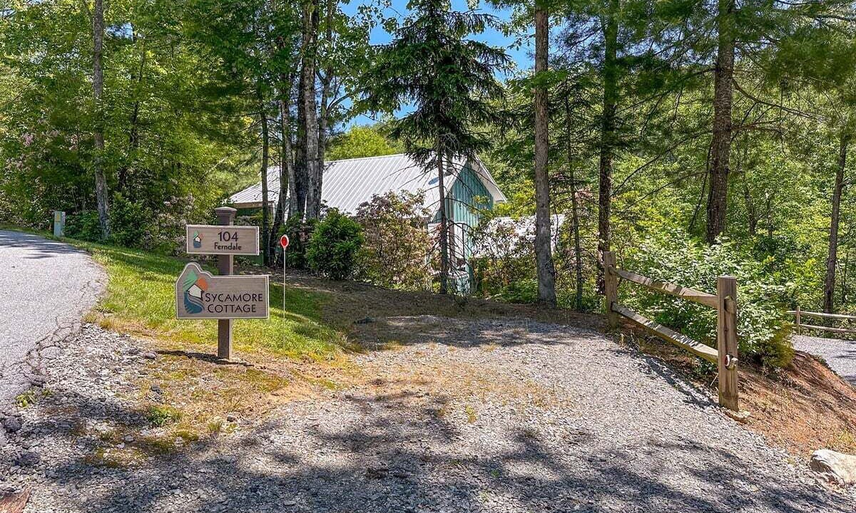 Photo of Outdoor in Pisgah Forest