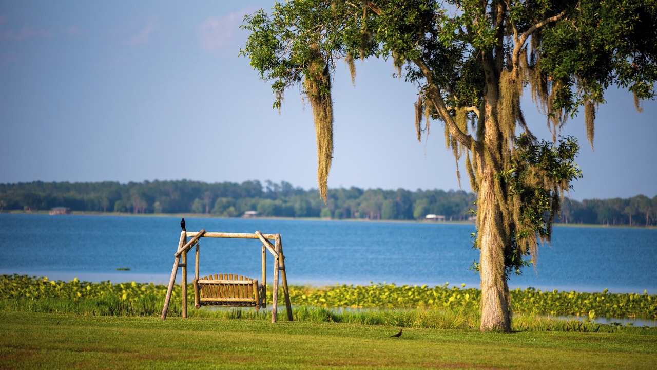 Photo of Outdoor in Fedhaven