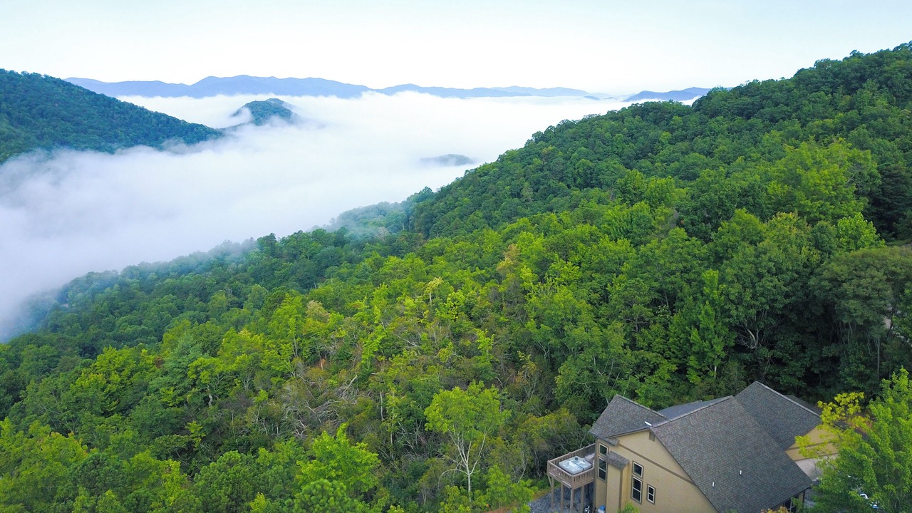 Photo of Outdoor in Franklin