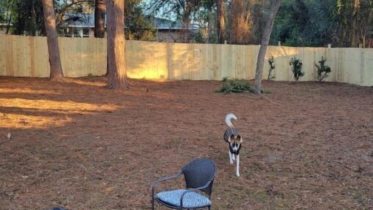 Photo of Outdoor in Aiken
