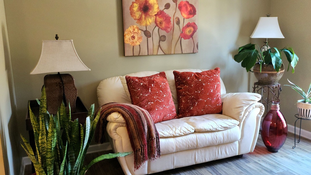 Photo of Livingroom in Southwest Raleigh