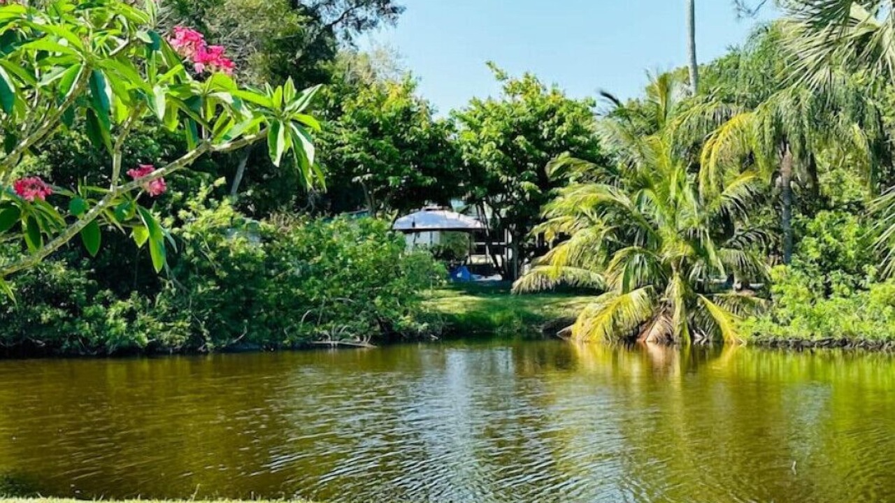 Photo of Outdoor in North River Shores