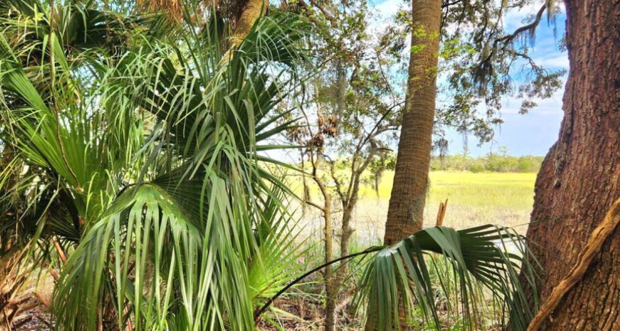 Photo of Outdoor in Saint Helena Island