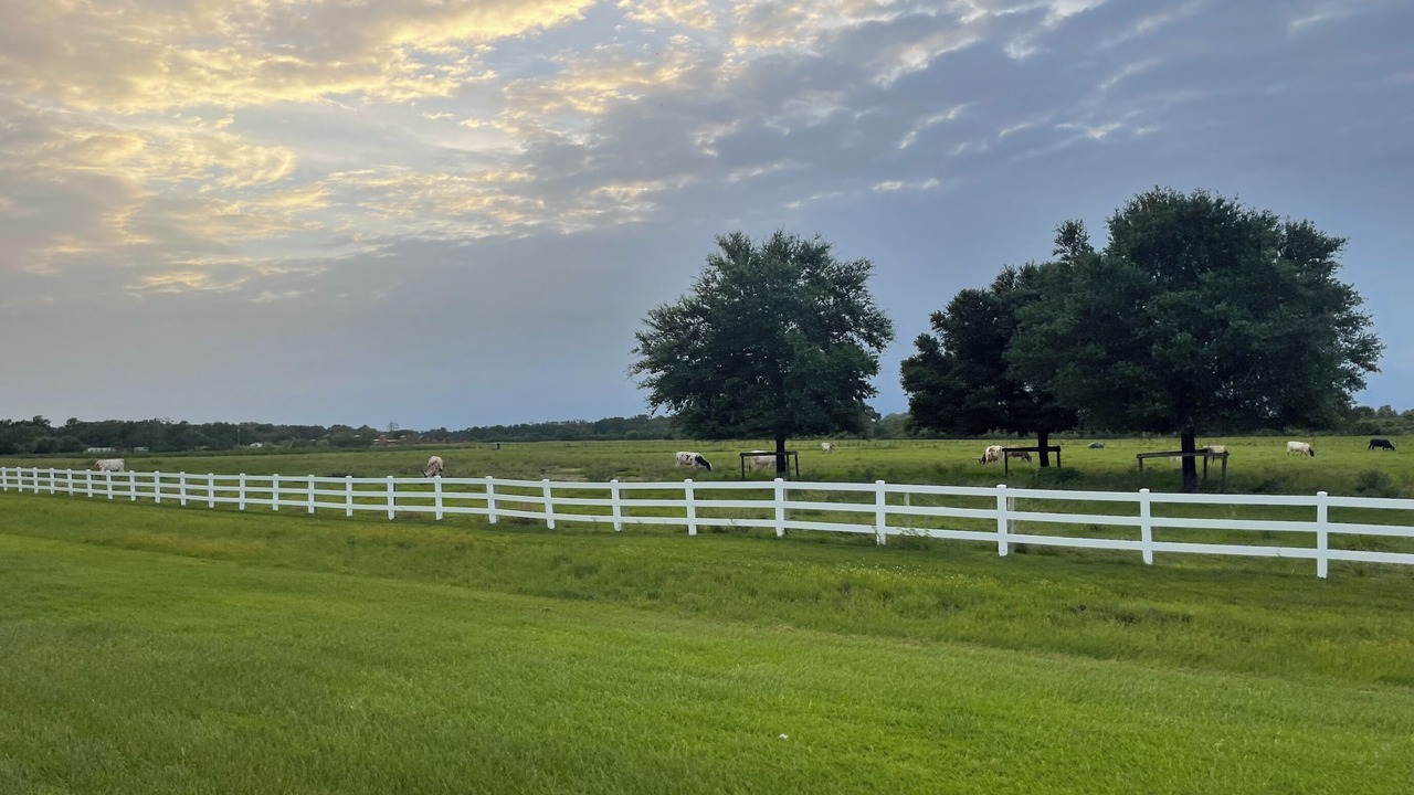 Photo of Others in River Ranch