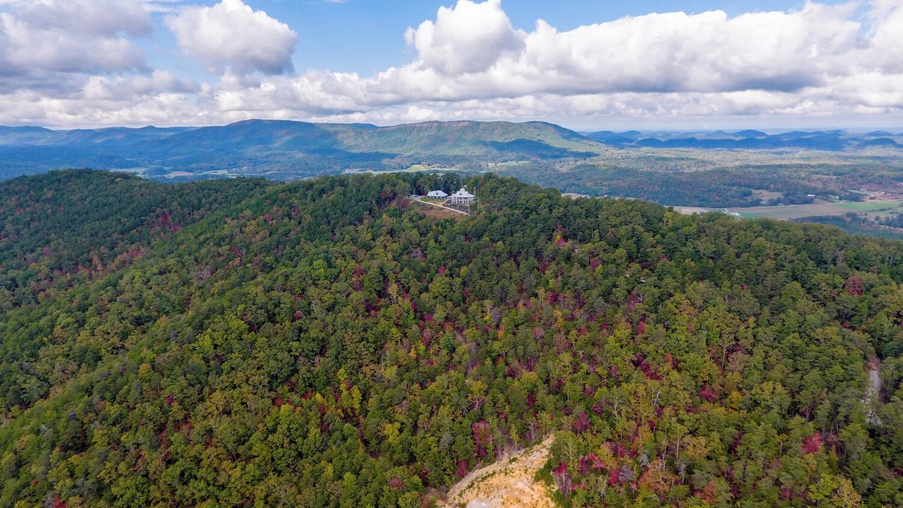 Photo of Others in Tellico Plains