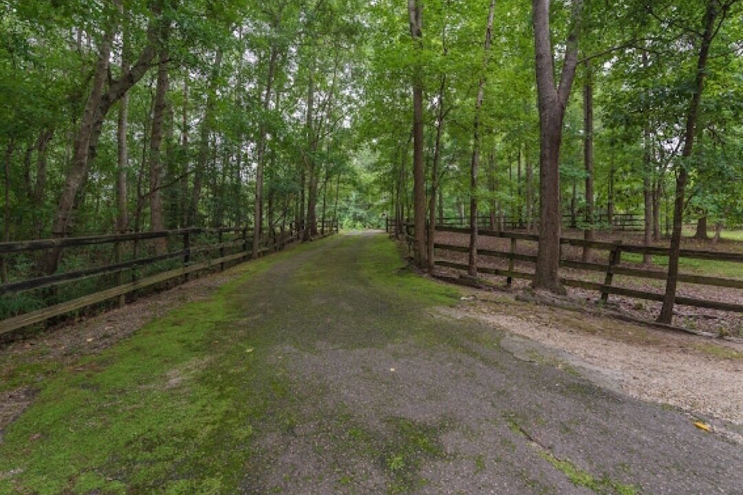 Photo of Outdoor in Aiken