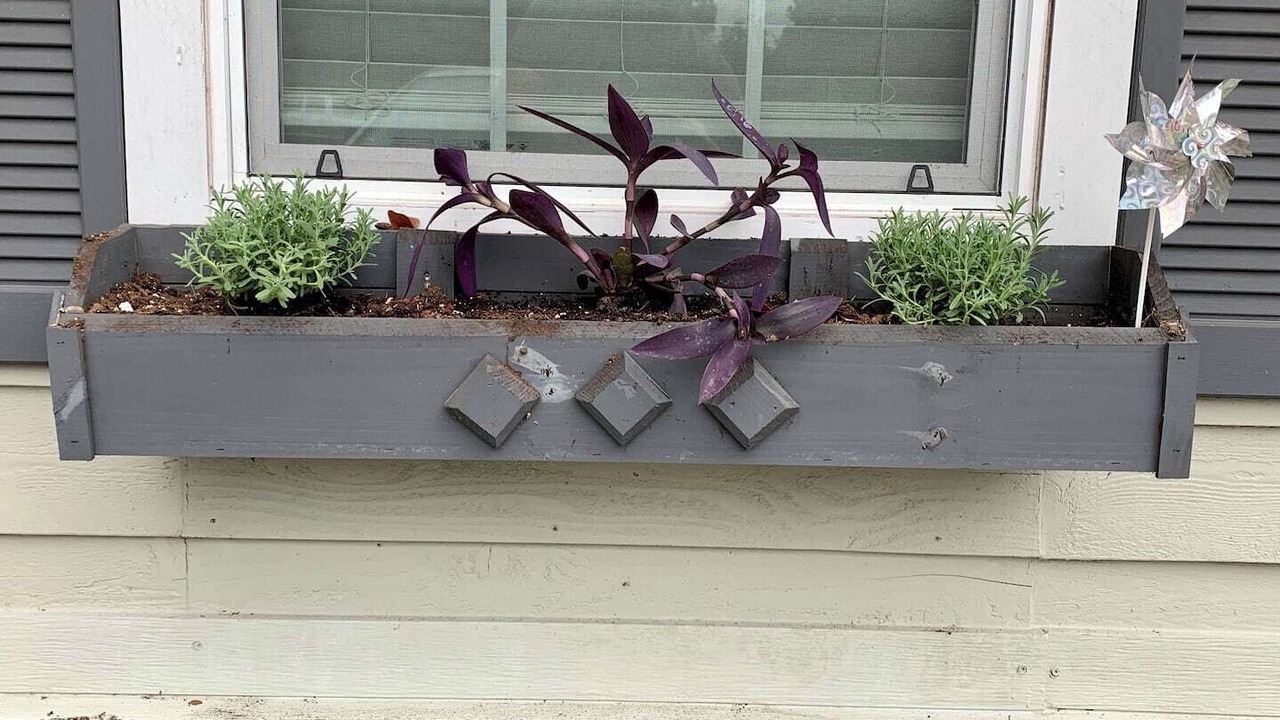 Photo of Outdoor in Savannah
