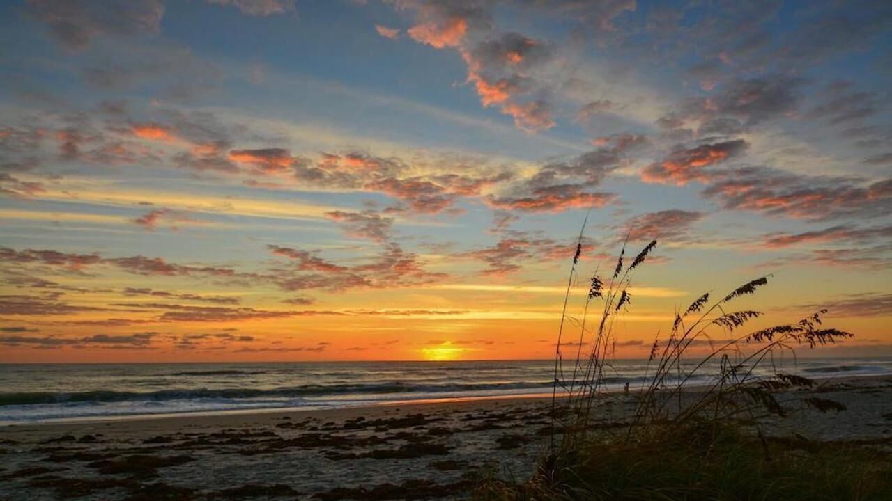 Photo of Others in Melbourne Beach