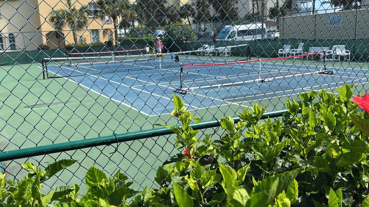 Photo of Others in Hutchinson Island South