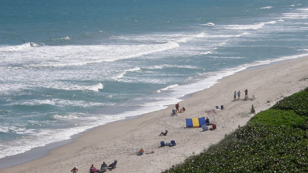 Photo of Others in Hutchinson Island South