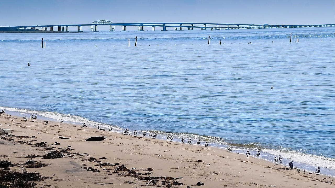 Photo of Others in Northeast Virginia Beach